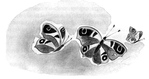 Барсук с нашего двора - i_014.jpg