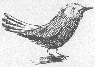 Победитель страха - Picture22.jpg