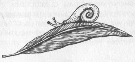 Победитель страха - Picture31.jpg