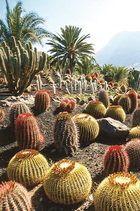 Турция. Средиземноморье. Путеводитель - i_018.jpg