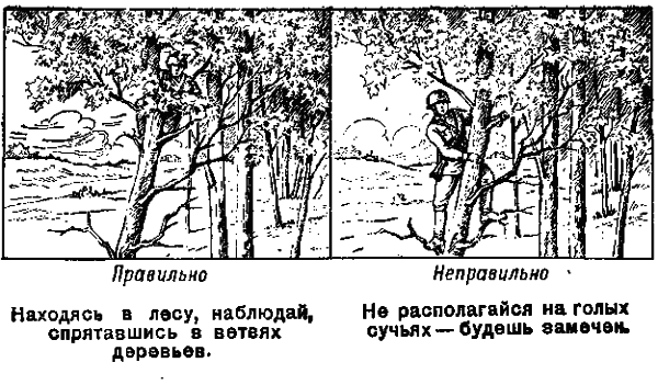 Памятка разведчику по маскировке - any2fbimgloader3.png