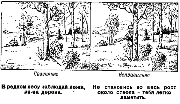 Памятка разведчику по маскировке - any2fbimgloader4.png