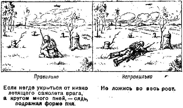 Памятка разведчику по маскировке - any2fbimgloader17.png