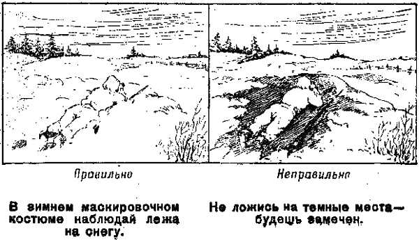 Памятка разведчику по маскировке - any2fbimgloader24.png