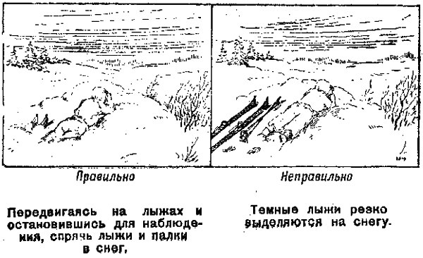 Памятка разведчику по маскировке - any2fbimgloader25.png