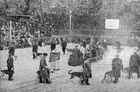 Собаковод-любитель - i_010.jpg