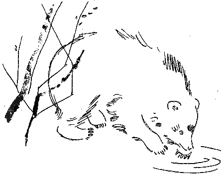 Хозяева старой пещеры - i_020.png