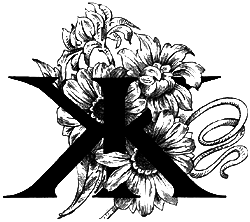 Удивительные приключения подмастерье Хлапича - i_009.png