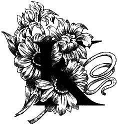 Удивительные приключения подмастерье Хлапича - i_011.png