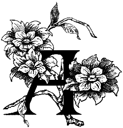 Удивительные приключения подмастерье Хлапича - i_021.png