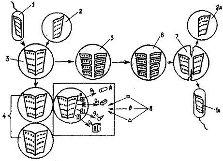 Допинги в собаководстве - i_002.png