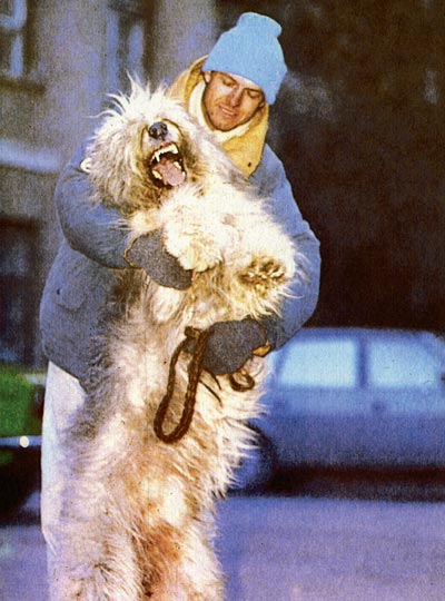 Допинги в собаководстве - i_040.jpg