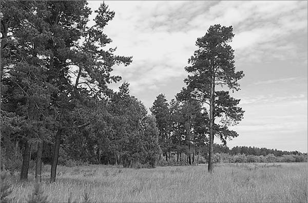 Алтай. Жемчужина и сердце Евразии - i_014.jpg