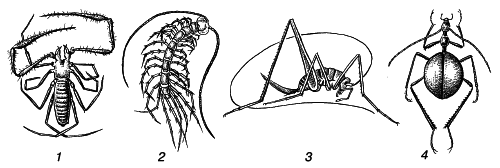 Общая экология - i_012.png