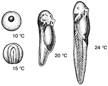 Общая экология - i_013.png