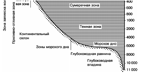 Общая экология - i_038.png