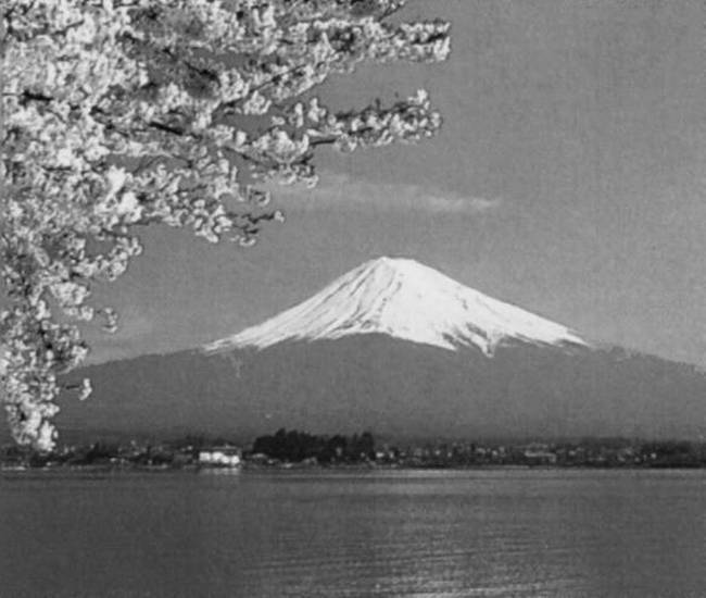 100 великих чудес природы - i_013.jpg