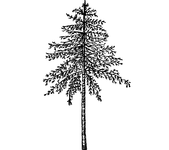 Путешествие в страну нектара - i_060.png