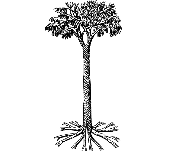 Путешествие в страну нектара - i_061.png