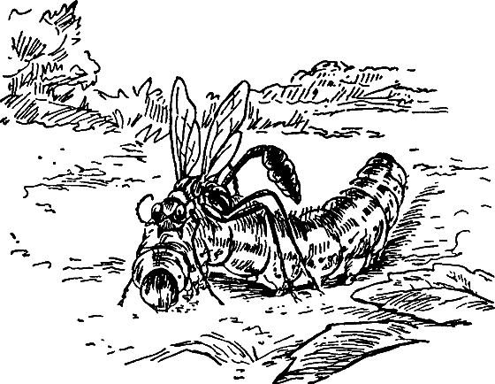 Путешествие в страну нектара - i_097.png