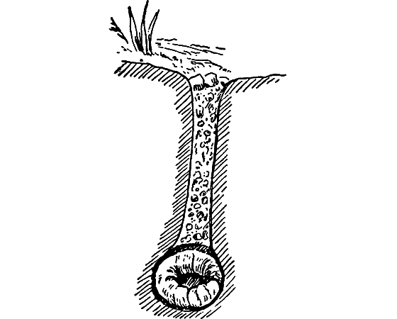 Путешествие в страну нектара - i_098.png