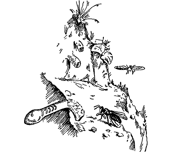 Путешествие в страну нектара - i_099.png