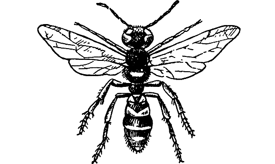 Путешествие в страну нектара - i_100.png