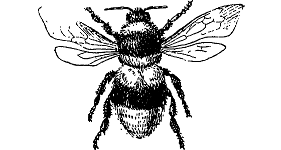 Путешествие в страну нектара - i_133.png