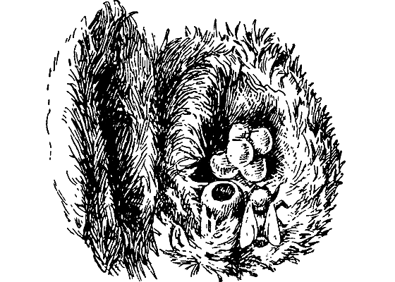 Путешествие в страну нектара - i_136.png