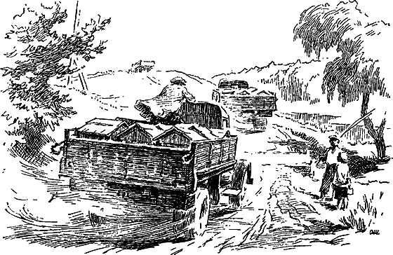 Путешествие в страну нектара - i_175.png