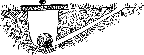 Путешествие в страну нектара - i_192.png