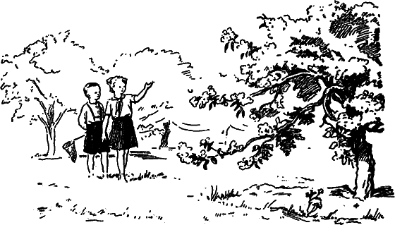 Рассказы о цветах - i_003.png