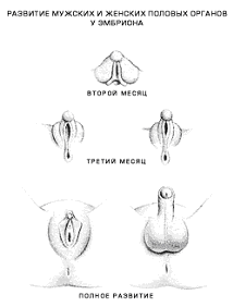 Желанный ребенок - i_006.png