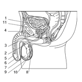 Желанный ребенок - i_007.png