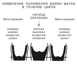 Желанный ребенок - i_016.png