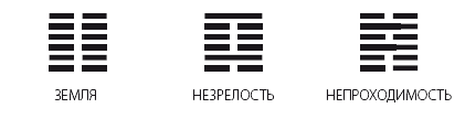 Искусство управления переменами. Том 1. Знаки Книги Перемен 1–30 - i_011.png
