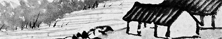 Чжуан-цзы Бронислава Виногродского. Книга о знании и власти - i_006.jpg