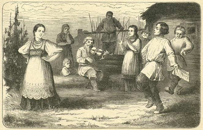 Что дают человеку хвойные деревья - vodovozova.jpg