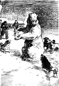 Полярный летчик - pic_52.jpg