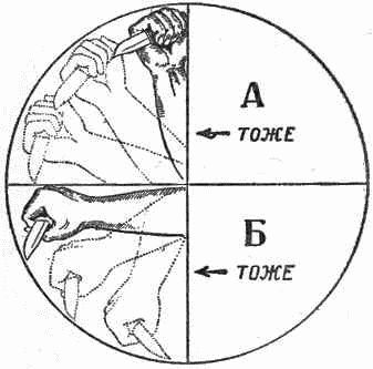 Курс самозащиты без оружия «САМБО» - _350.jpg