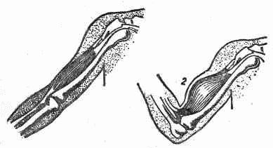 Курс самозащиты без оружия «САМБО» - _398.jpg