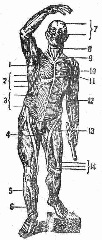 Курс самозащиты без оружия «САМБО» - _400.jpg