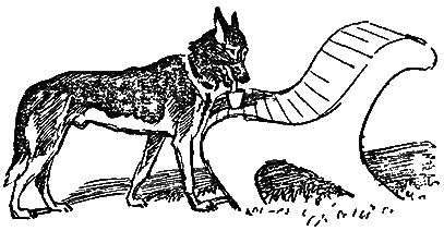 Карай. Сын Карая - Karai6m.png