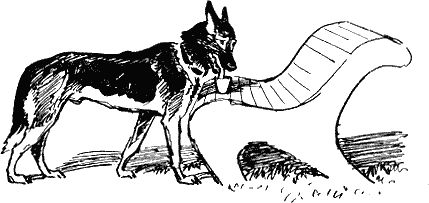 Проводник СРС - i_008.png