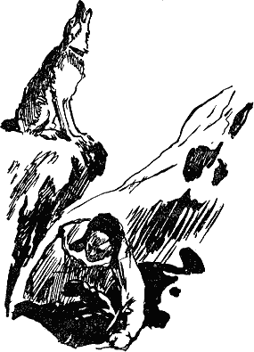 Проводник СРС - i_021.png