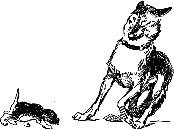 Проводник СРС - i_022.png