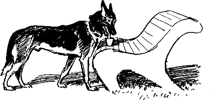 Рассказы о капитане Бурунце - pic_8.png