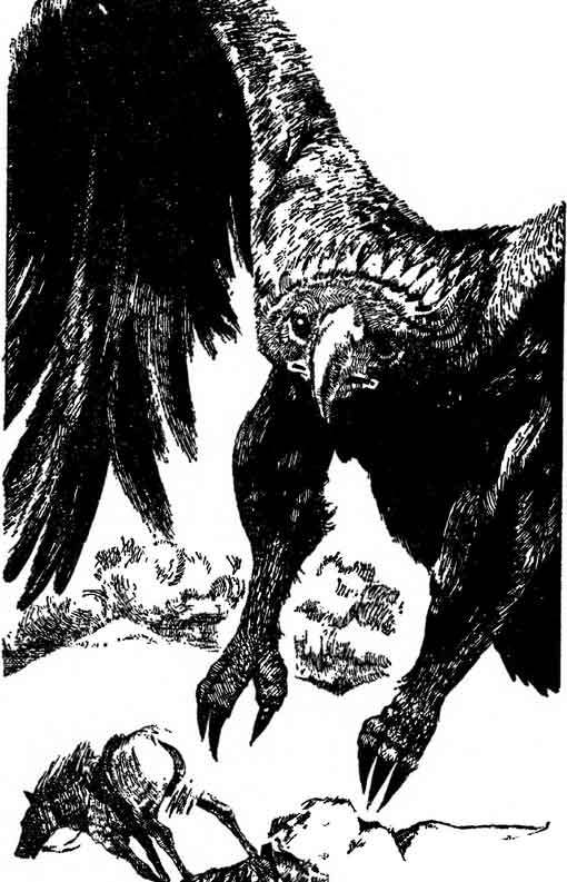 Десять баллов по бофорту (повести и рассказы) - i_019.jpg