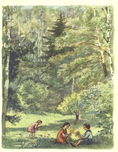 Березка - _2.jpg