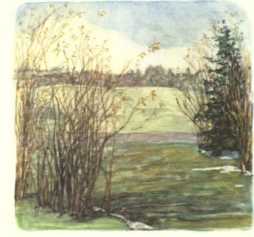 Березка - _6.jpg